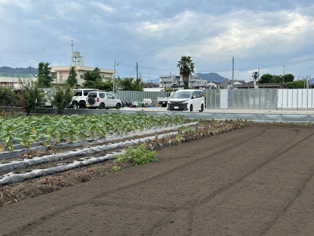 自給率の低下。耕作放棄地問題